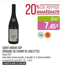 Match DOMAINE DU CHAMP DE VIOLETTES Saint-amour aop offre