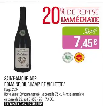 Match DOMAINE DU CHAMP DE VIOLETTES Saint-amour aop offre