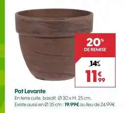 Truffaut Pot levante offre