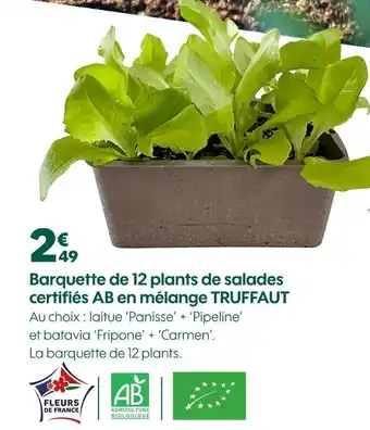 Truffaut TRUFFAUT Barquette de 12 plants de salades certifiés ab en mélange offre