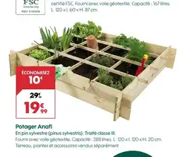 Truffaut Potager anafi offre