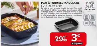 Carrefour Plat à four rectangulaire offre