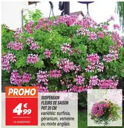 Netto Suspension fleurs de saison offre