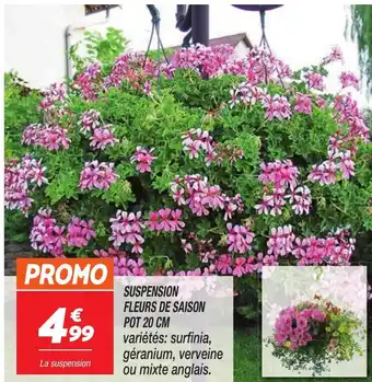 Netto Suspension fleurs de saison offre