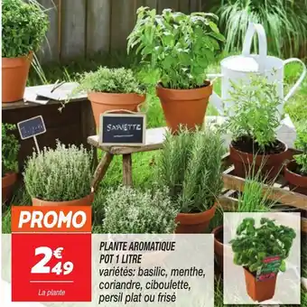 Netto Plante aromatique offre