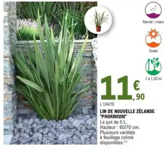 E.Leclerc Lin de nouvelle zélande "phormium" offre