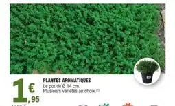 E.Leclerc Plantes aromatiques offre