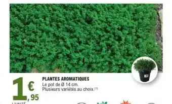 E.Leclerc Plantes aromatiques offre