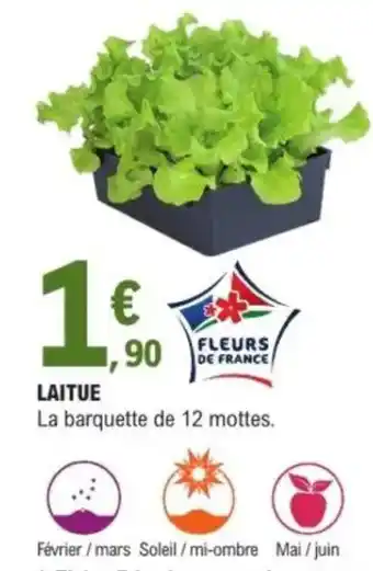 E.Leclerc Laitue offre