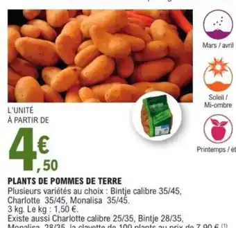 E.Leclerc Plants de pommes de terre offre