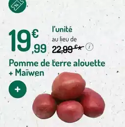 Botanic Pomme de terre alonette + maiwen offre