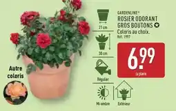 Carrefour Sun - capsules lave vaisselle format familial offre