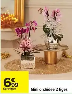 Carrefour Pleine terre - terreau potager offre