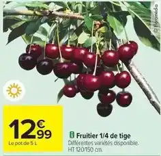 Carrefour Fruitier 1/4 de tige offre