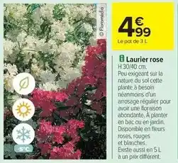 Carrefour Laurier rose offre