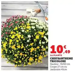 Carrefour Toplife - vélo city 40 offre
