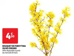 Auchan Bouquet de forsythia ou de cerisier offre