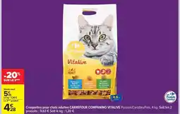 Brico Dépôt Chêne - kit dressing gazus chenie clair offre