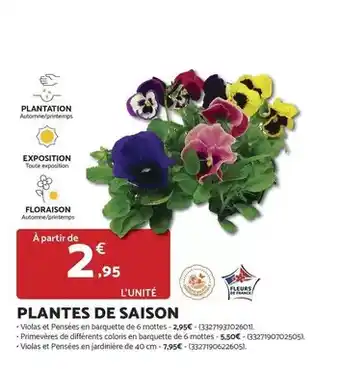 Bricomarché Plantation - plantes de saison offre