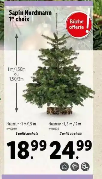 Lidl Sapin Nordmann 1er Choix offre