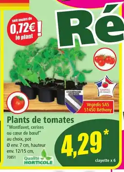 Norma Plants de tomates offre