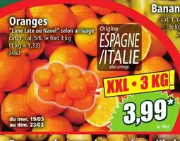 Norma Oranges offre