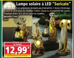 Norma Lampe solaire à led suricate offre