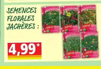 Norma Semences florales jachères offre