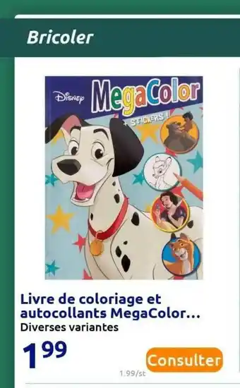 Action Livre De Coloriage Et Autocollants MegaColor... offre