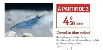 Botanic Crevettes Blue Velvet offre