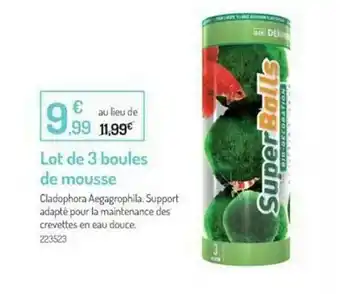 Botanic Lot De 3 Boules De Mousse offre
