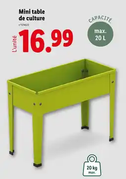 Lidl Mini table de culture offre