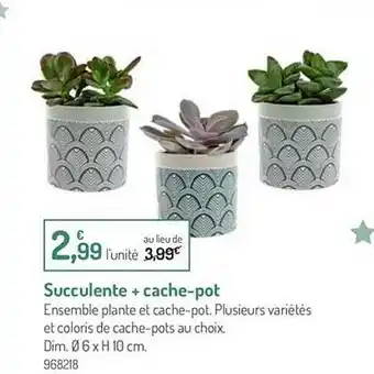 Botanic Succulente + Cache-pot offre