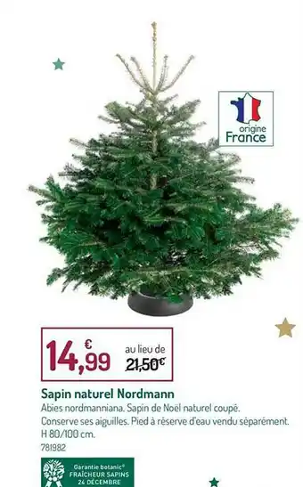 Sapin Naturel Nordmann
