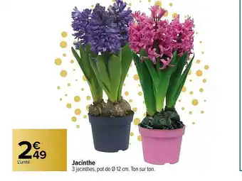 Carrefour Jacinthe offre