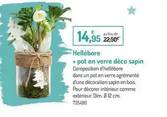 Botanic Hellébore + Pot En Verre Déco Sapin offre
