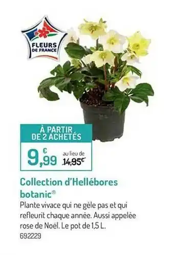 Botanic Collection D'hellébores Botanic offre