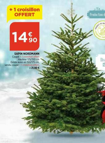 Bi1 Sapin Nordmann offre