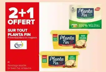 Planta Fin