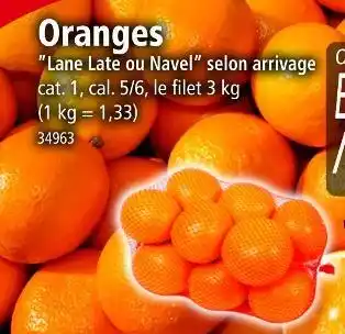 Norma Oranges offre