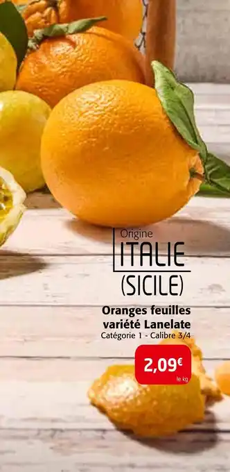 Colruyt Oranges feuilles variété Lanelate offre