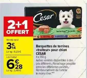 Carrefour Market Barquettes De Terrines «traiteur» Pour Chien César offre