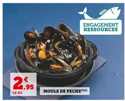 Hyper U Moule de peche offre