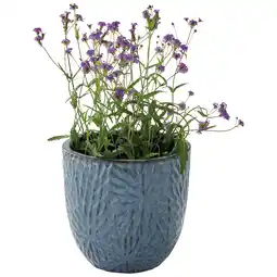 Jardiland ECLOZ Pot Flower ECLOZ offre