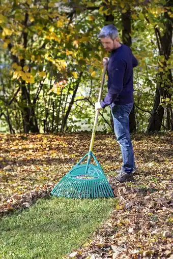 Jardiland Balai à gazon XL Leborgne offre