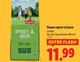 Lidl GRANDIOL Gazon sport et jeux offre