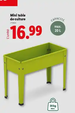 Lidl Mini table de culture offre