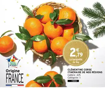 Clémentine Corse Itinéraire De Nos Régions
