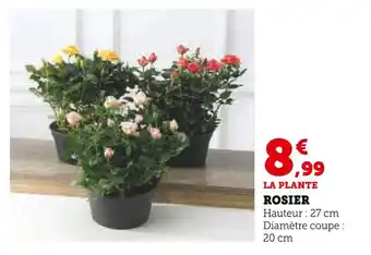 U Express Rosier offre