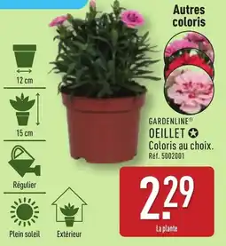 ALDI GARDENLINE® Oeillet offre